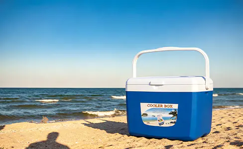 ハンドル付き13Lプラスチック断熱クーラーボックス